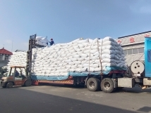 把握機(jī)遇、鉚足干勁、承勢(shì)而上