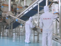 2025年的第一個(gè)月，承德亞歐果仁有限公司在山杏產(chǎn)業(yè)的道路上持續(xù)奮進(jìn)，展現(xiàn)出蓬勃的發(fā)展活力。